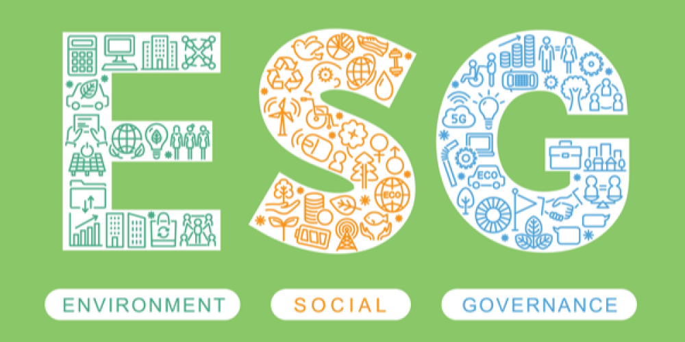 Greenwashing: Executives Believe ESG Programs Fall Short